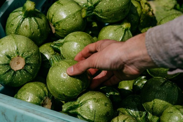 Découvrez les légumes essentiels pour un pot-au-feu léger et savoureux sans pommes de terre !
